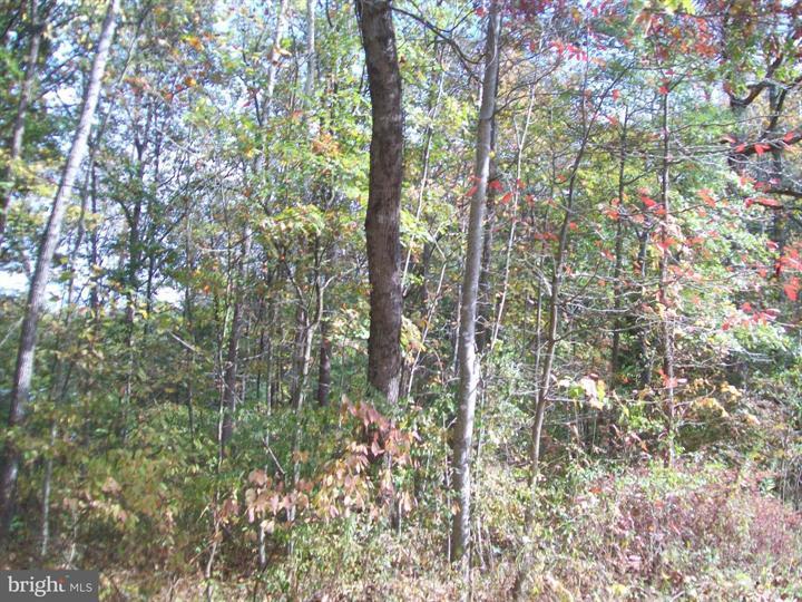 AUTUMN LANE, CAPON BRIDGE - Photo 7 of 9