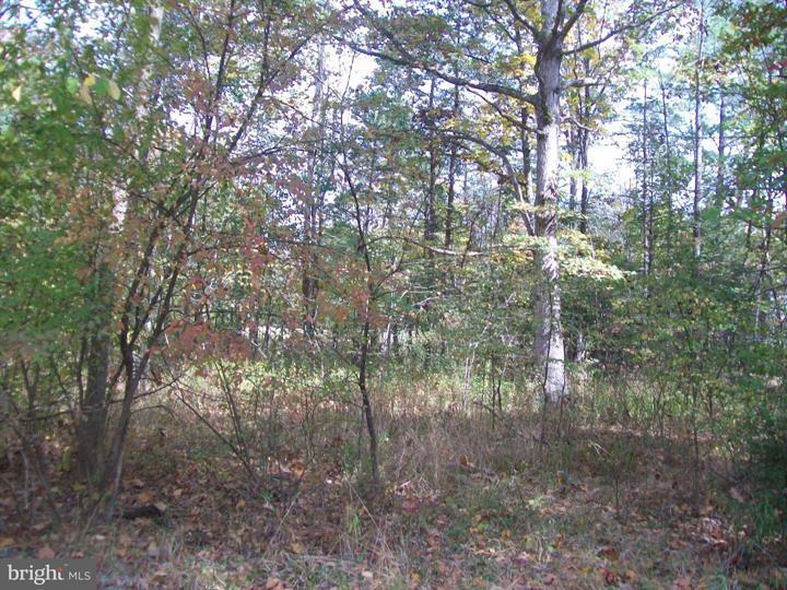 AUTUMN LANE, CAPON BRIDGE - Photo 1 of 9