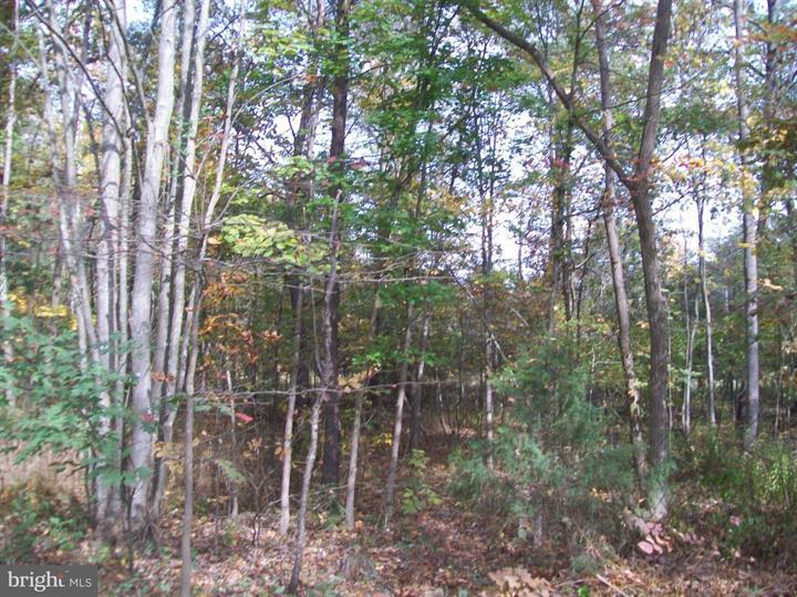 AUTUMN LANE, CAPON BRIDGE - Photo 2 of 9
