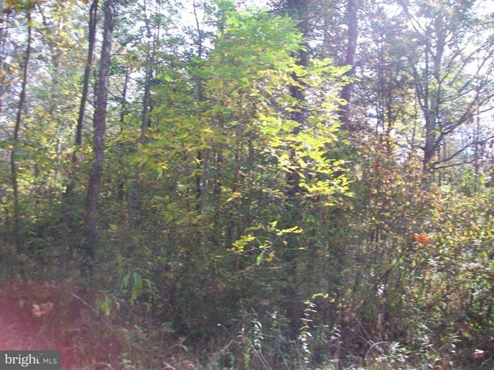 AUTUMN LANE, CAPON BRIDGE - Photo 3 of 9