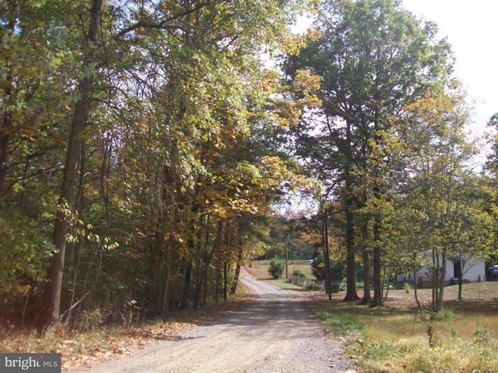 AUTUMN LANE, CAPON BRIDGE - Photo 5 of 9