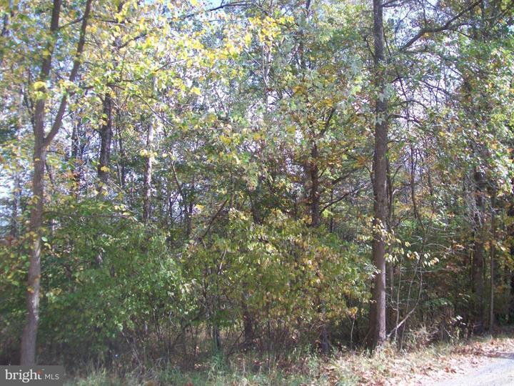 AUTUMN LANE, CAPON BRIDGE - Photo 6 of 9