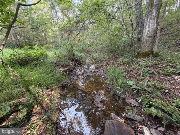 1346 SEDAN SCHOOL ROAD, AUGUSTA - Photo 6 of 25