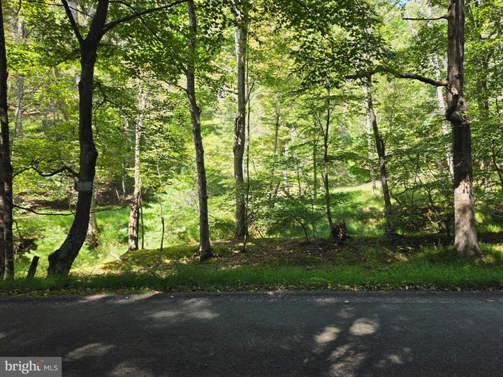 DOVE HOLLOW ROAD, MATHIAS - Photo 7 of 25