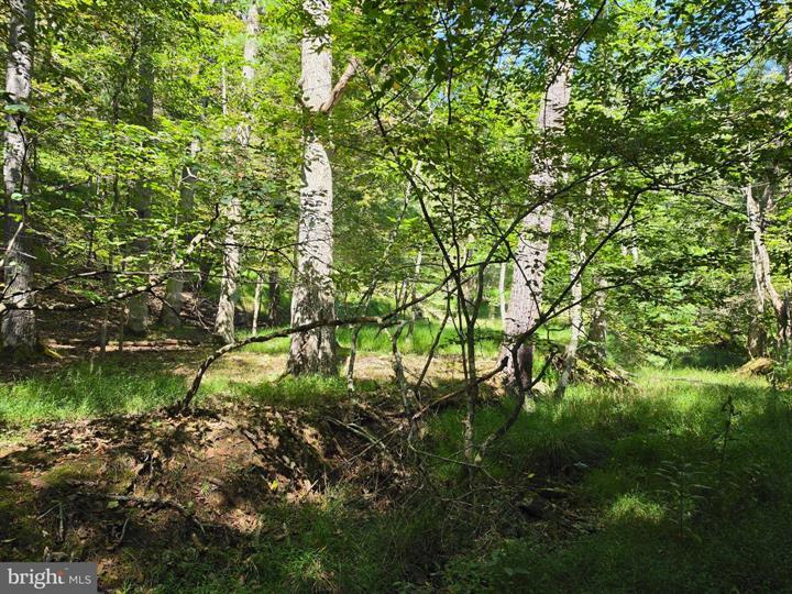 DOVE HOLLOW ROAD, MATHIAS - Photo 22 of 25