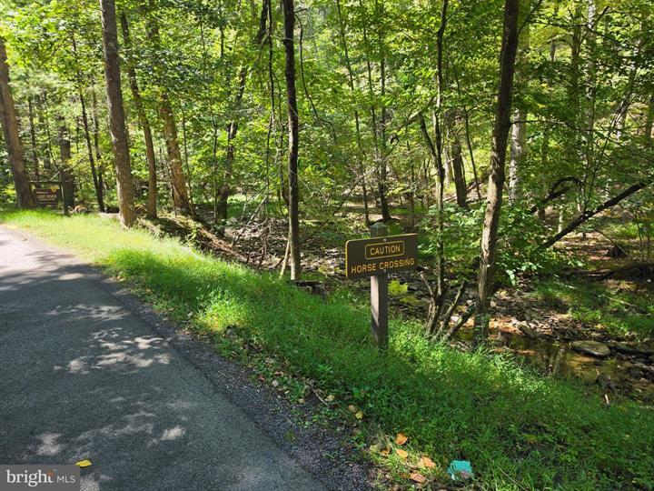 DOVE HOLLOW ROAD, MATHIAS - Photo 3 of 25