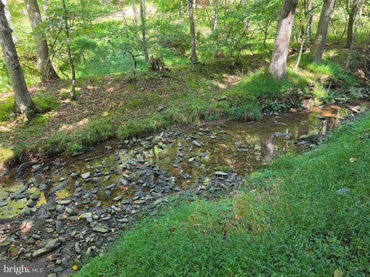 DOVE HOLLOW ROAD, MATHIAS - Photo 2 of 25