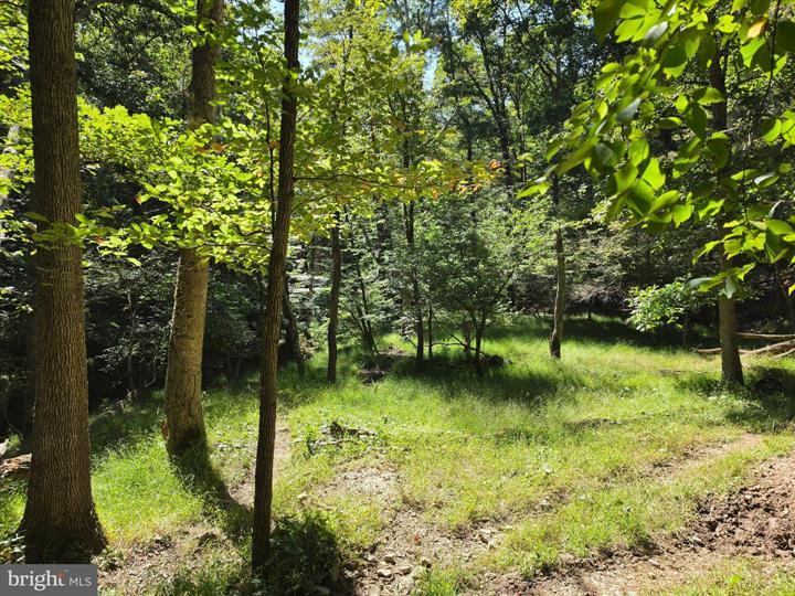 DOVE HOLLOW ROAD, MATHIAS - Photo 17 of 25