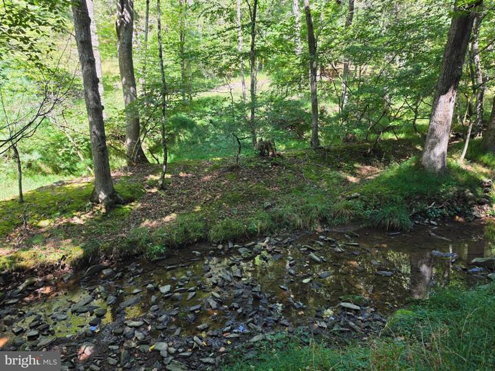 DOVE HOLLOW ROAD, MATHIAS - Photo 9 of 25