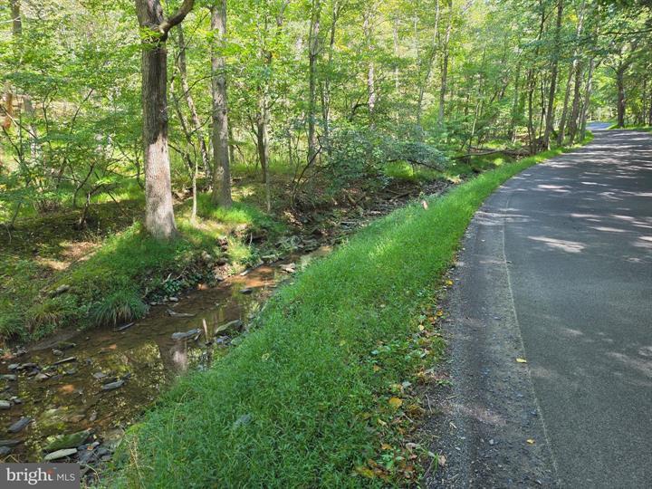 DOVE HOLLOW ROAD, MATHIAS - Photo 10 of 25