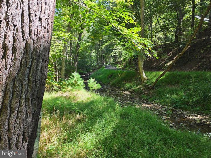 DOVE HOLLOW ROAD, MATHIAS - Photo 13 of 25