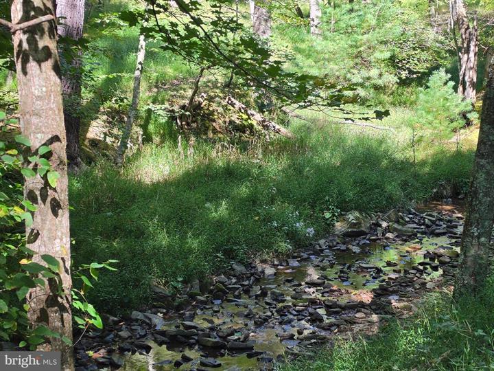 DOVE HOLLOW ROAD, MATHIAS - Photo 6 of 25
