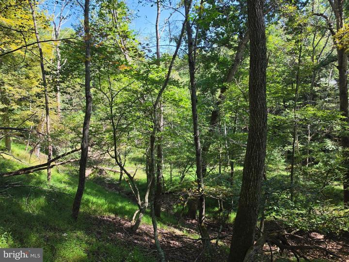 DOVE HOLLOW ROAD, MATHIAS - Photo 15 of 25