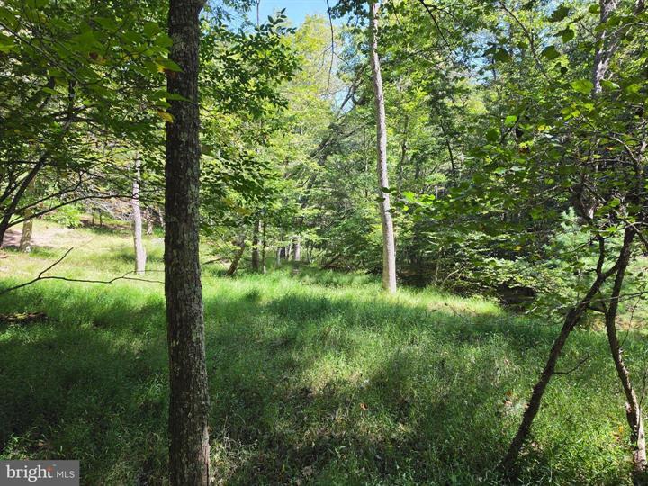 DOVE HOLLOW ROAD, MATHIAS - Photo 16 of 25