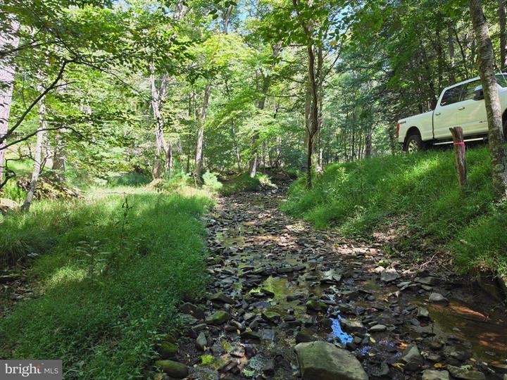 DOVE HOLLOW ROAD, MATHIAS - Photo 20 of 25
