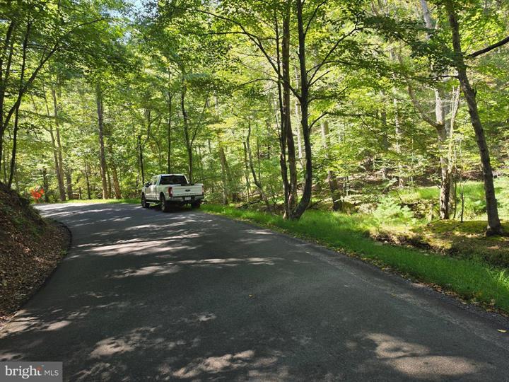 DOVE HOLLOW ROAD, MATHIAS - Photo 12 of 25