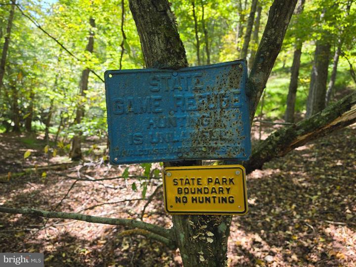 DOVE HOLLOW ROAD, MATHIAS - Photo 4 of 25