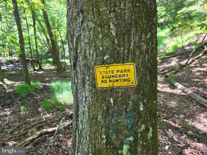DOVE HOLLOW ROAD, MATHIAS - Photo 14 of 25