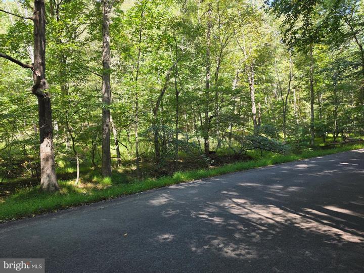 DOVE HOLLOW ROAD, MATHIAS - Photo 8 of 25