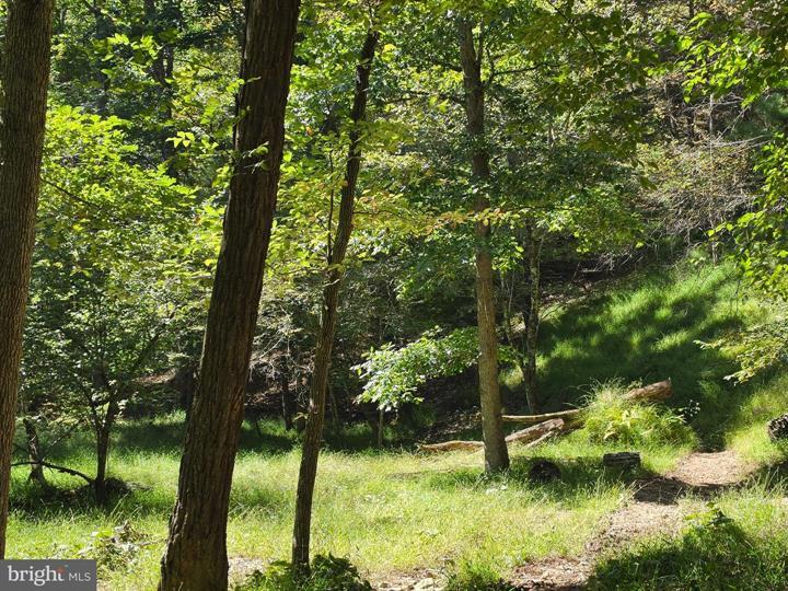 DOVE HOLLOW ROAD, MATHIAS - Photo 18 of 25