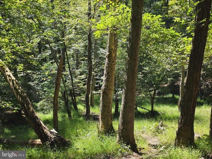 DOVE HOLLOW ROAD, MATHIAS - Photo 19 of 25