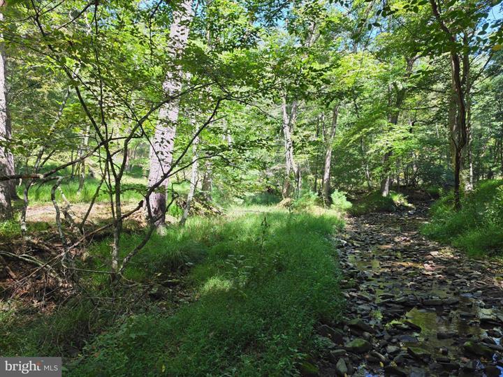 DOVE HOLLOW ROAD, MATHIAS - Photo 21 of 25