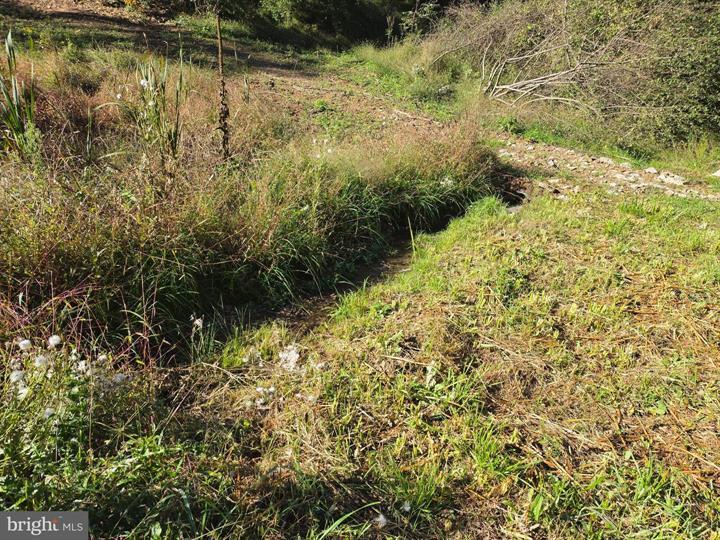 5 & 6 PROCTOR ROAD, PURGITSVILLE - Photo 23 of 25
