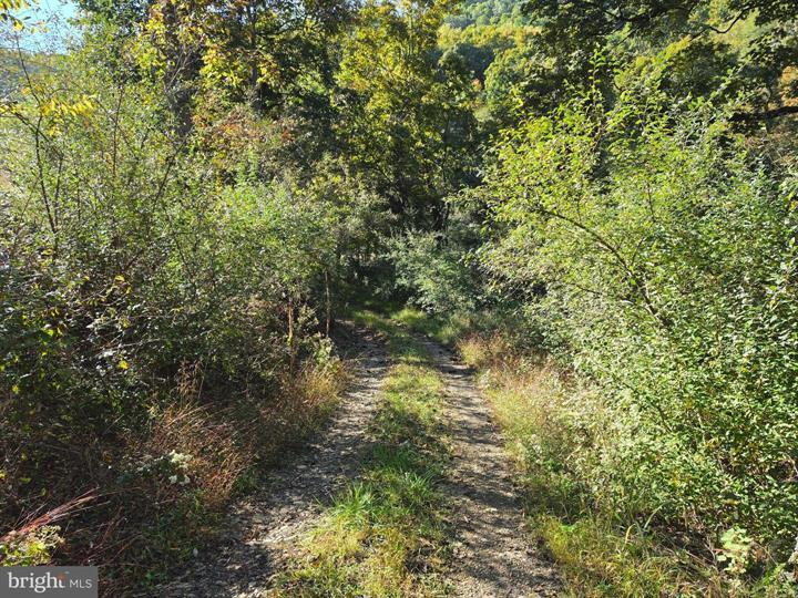 5 & 6 PROCTOR ROAD, PURGITSVILLE - Photo 6 of 25