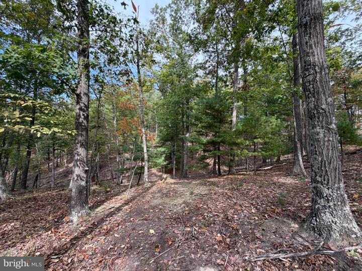24 LONG ACRE ESTATES, ROMNEY - Photo 22 of 25