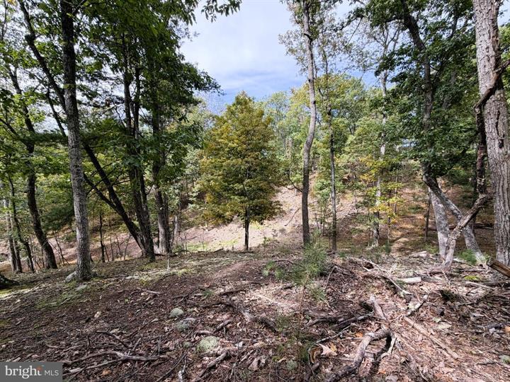 24 LONG ACRE ESTATES, ROMNEY - Photo 3 of 25