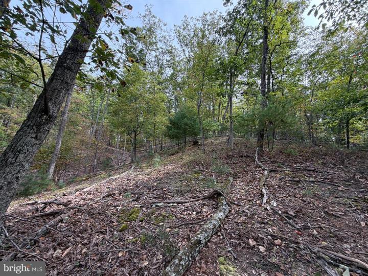 24 LONG ACRE ESTATES, ROMNEY - Photo 16 of 25