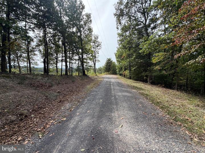24 LONG ACRE ESTATES, ROMNEY - Photo 11 of 25