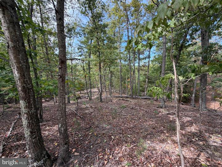 24 LONG ACRE ESTATES, ROMNEY - Photo 12 of 25