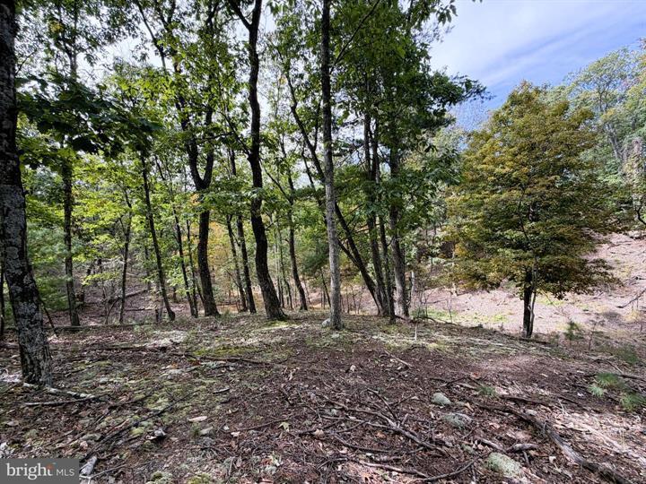 24 LONG ACRE ESTATES, ROMNEY - Photo 2 of 25