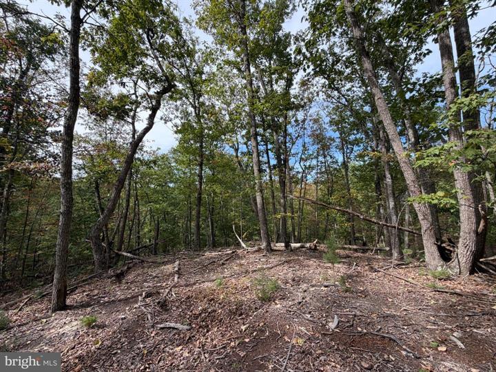 24 LONG ACRE ESTATES, ROMNEY - Photo 21 of 25