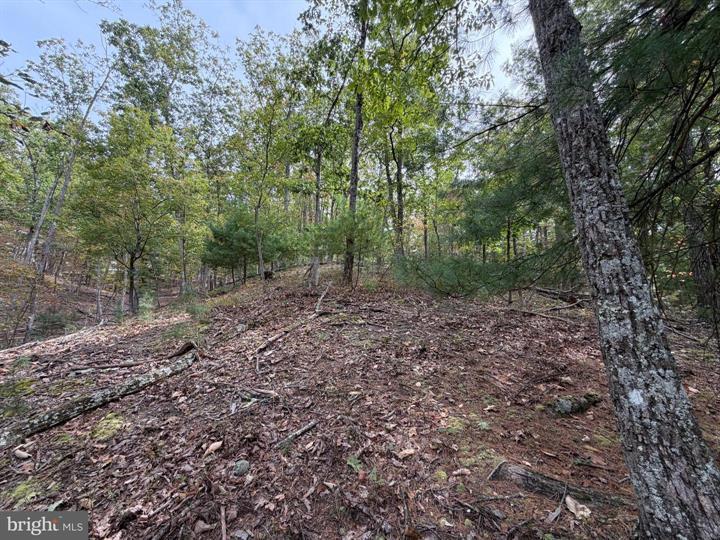24 LONG ACRE ESTATES, ROMNEY - Photo 15 of 25