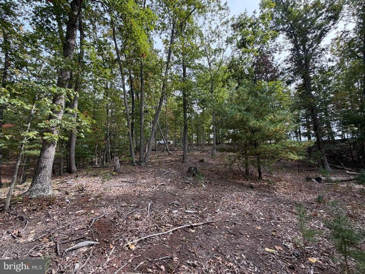 24 LONG ACRE ESTATES, ROMNEY - Photo 20 of 25