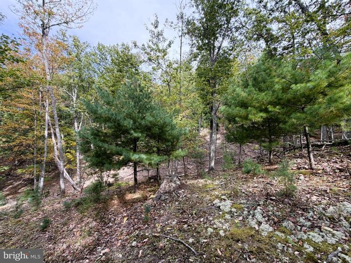 24 LONG ACRE ESTATES, ROMNEY - Photo 19 of 25