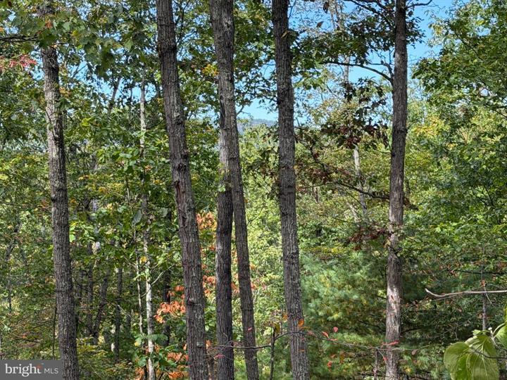 24 LONG ACRE ESTATES, ROMNEY - Photo 13 of 25