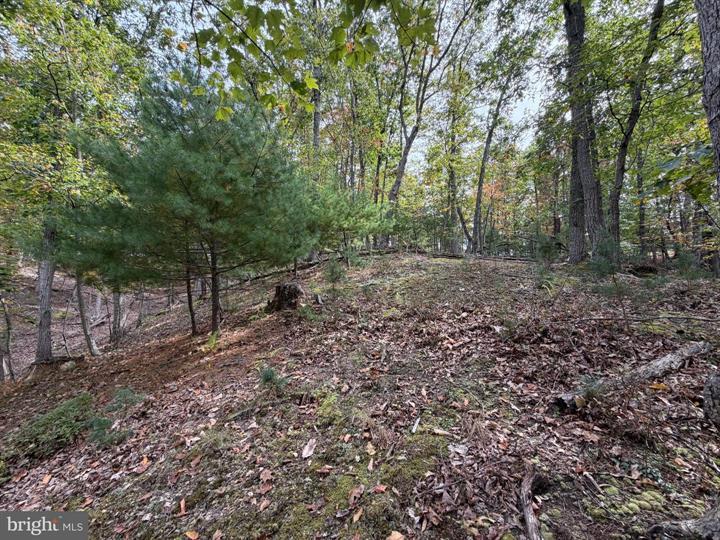 24 LONG ACRE ESTATES, ROMNEY - Photo 18 of 25