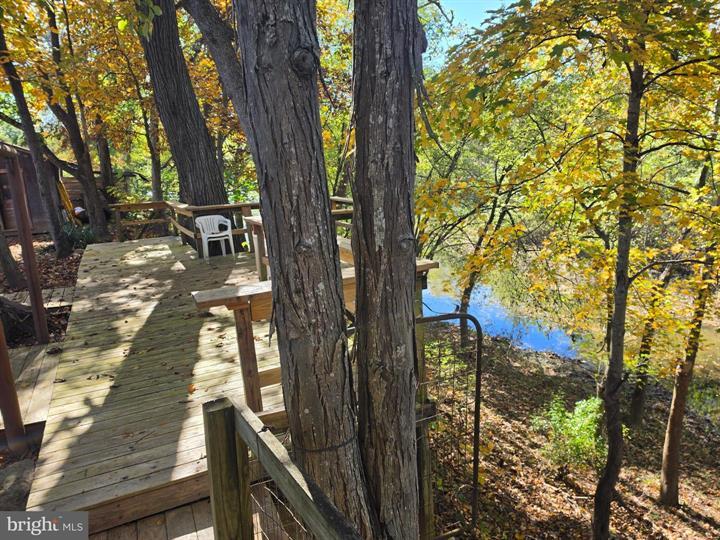 262 SHILLINGBURG LANE, SPRINGFIELD - Photo 5 of 25