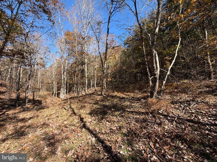81 BLUFFS ON THE POTOMAC, SPRINGFIELD - Photo 19 of 25