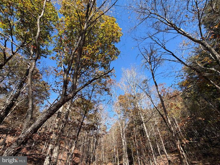 81 BLUFFS ON THE POTOMAC, SPRINGFIELD - Photo 20 of 25