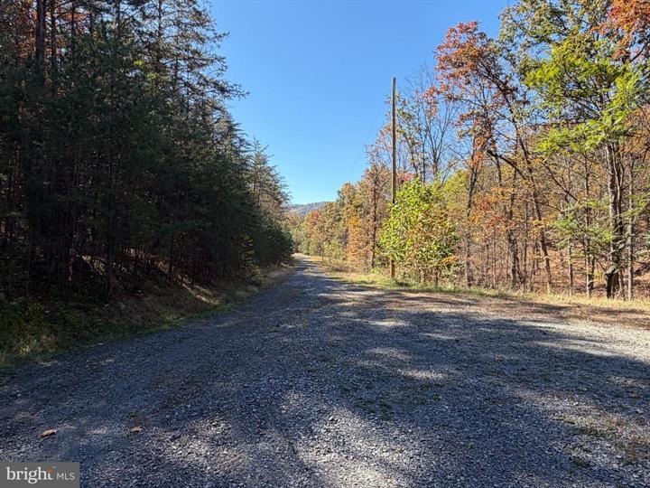 81 BLUFFS ON THE POTOMAC, SPRINGFIELD - Photo 16 of 25