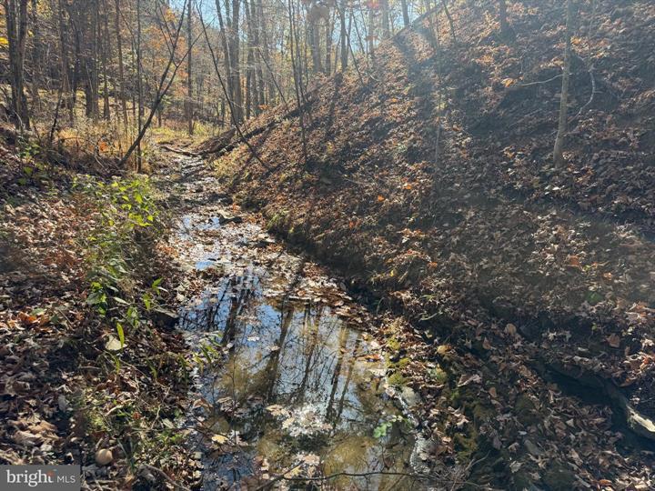 81 BLUFFS ON THE POTOMAC, SPRINGFIELD - Photo 25 of 25