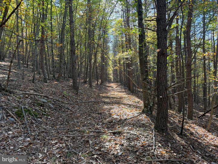81 BLUFFS ON THE POTOMAC, SPRINGFIELD - Photo 8 of 25