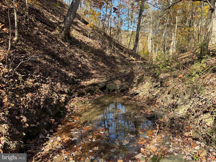 81 BLUFFS ON THE POTOMAC, SPRINGFIELD - Photo 24 of 25