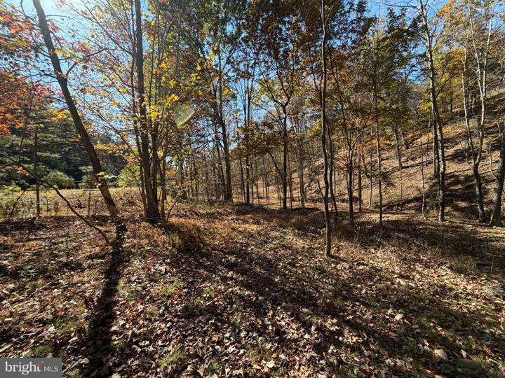 81 BLUFFS ON THE POTOMAC, SPRINGFIELD - Photo 17 of 25