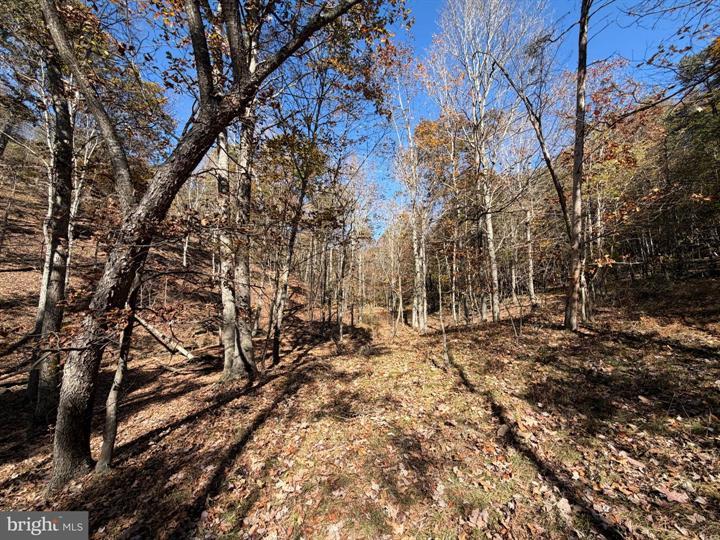81 BLUFFS ON THE POTOMAC, SPRINGFIELD - Photo 18 of 25