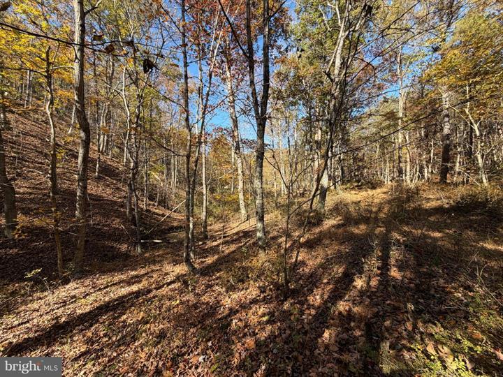 81 BLUFFS ON THE POTOMAC, SPRINGFIELD - Photo 6 of 25